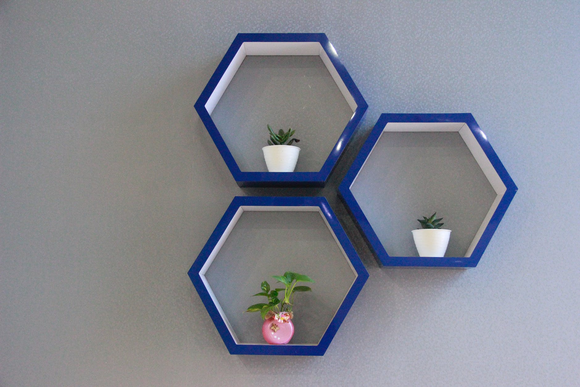 hexagon shelves with potted plants
